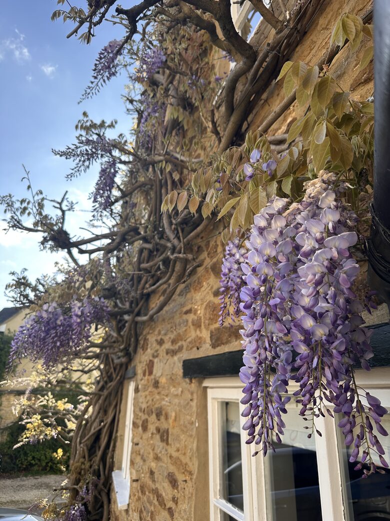 Charming English Countryside Cottage - Kings Sutton, United Kingdom