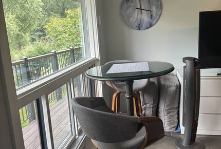 Aspen Riverfront Studio Retreat - Aspen, Colorado