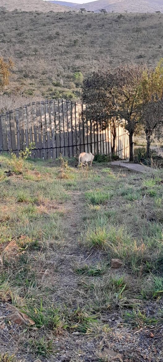 Private Safari Sanctuary in Zululand - Mkuze, South Africa