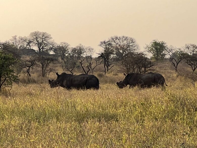 Private Safari Sanctuary in Zululand - Mkuze, South Africa