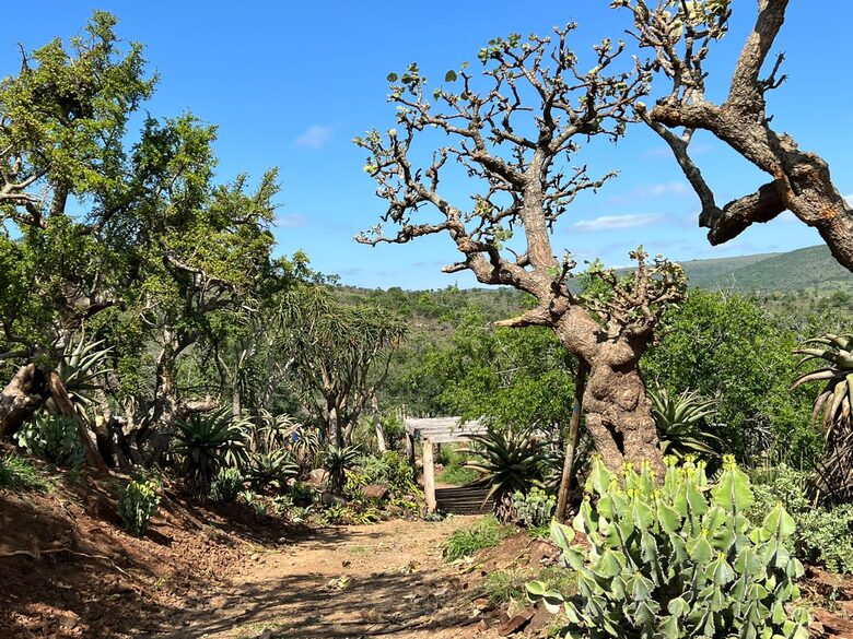 Private Safari Sanctuary in Zululand - Mkuze, South Africa