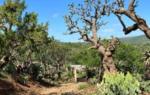 Ingwe Lodge | Privates Safari-Reservat in Zululand – Mkuze, Südafrika