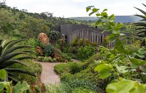 Ingwe Lodge | Privates Safari-Reservat in Zululand – Mkuze, Südafrika