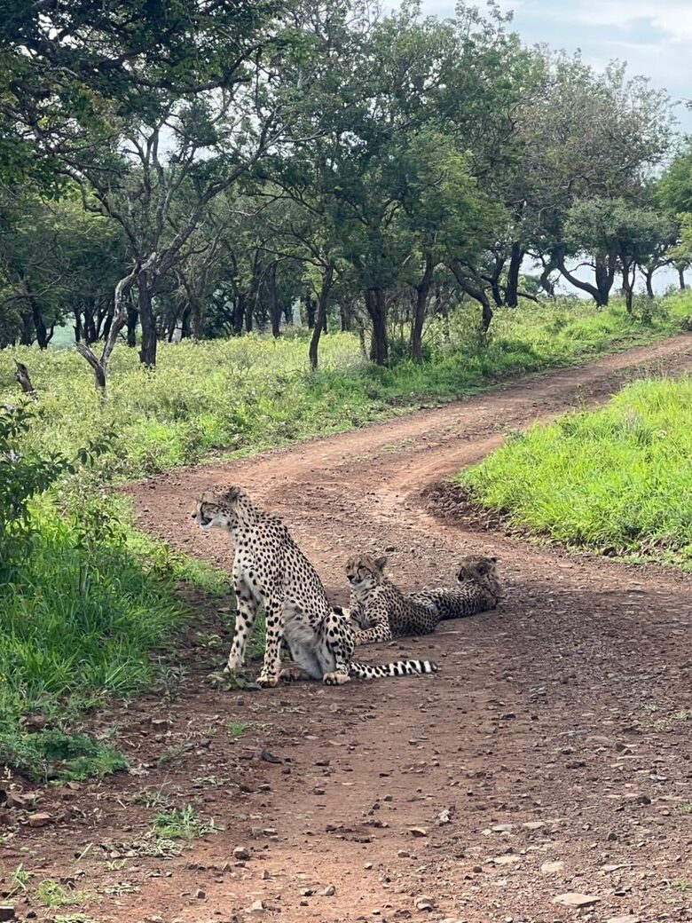 Private Safari Sanctuary in Zululand - Mkuze, South Africa