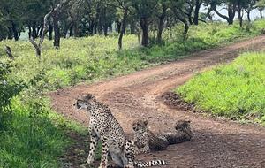 Ingwe Lodge | Privates Safari-Reservat in Zululand – Mkuze, Südafrika