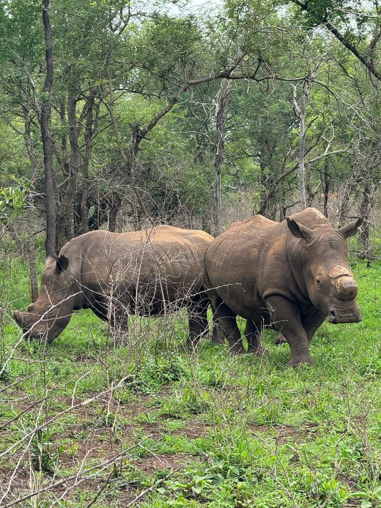 Private Safari Sanctuary in Zululand - Mkuze, South Africa