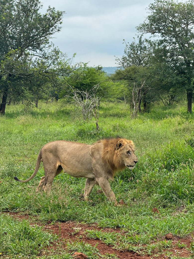 Private Safari Sanctuary in Zululand - Mkuze, South Africa