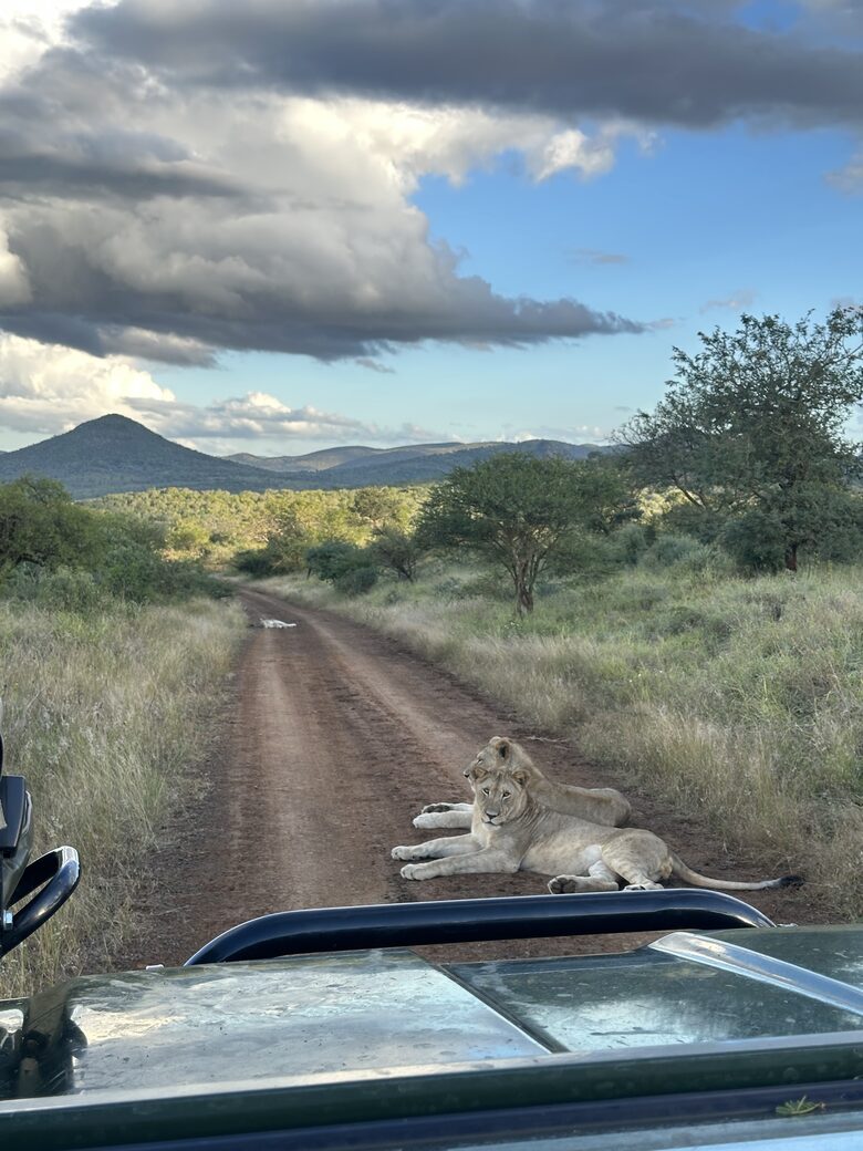 Private Safari Sanctuary in Zululand - Mkuze, South Africa