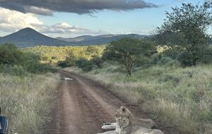 Ingwe Lodge | Privates Safari-Reservat in Zululand – Mkuze, Südafrika