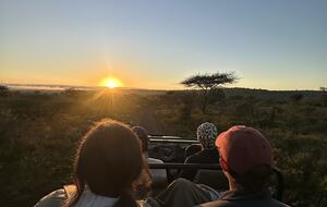 Ingwe Lodge | Privates Safari-Reservat in Zululand – Mkuze, Südafrika