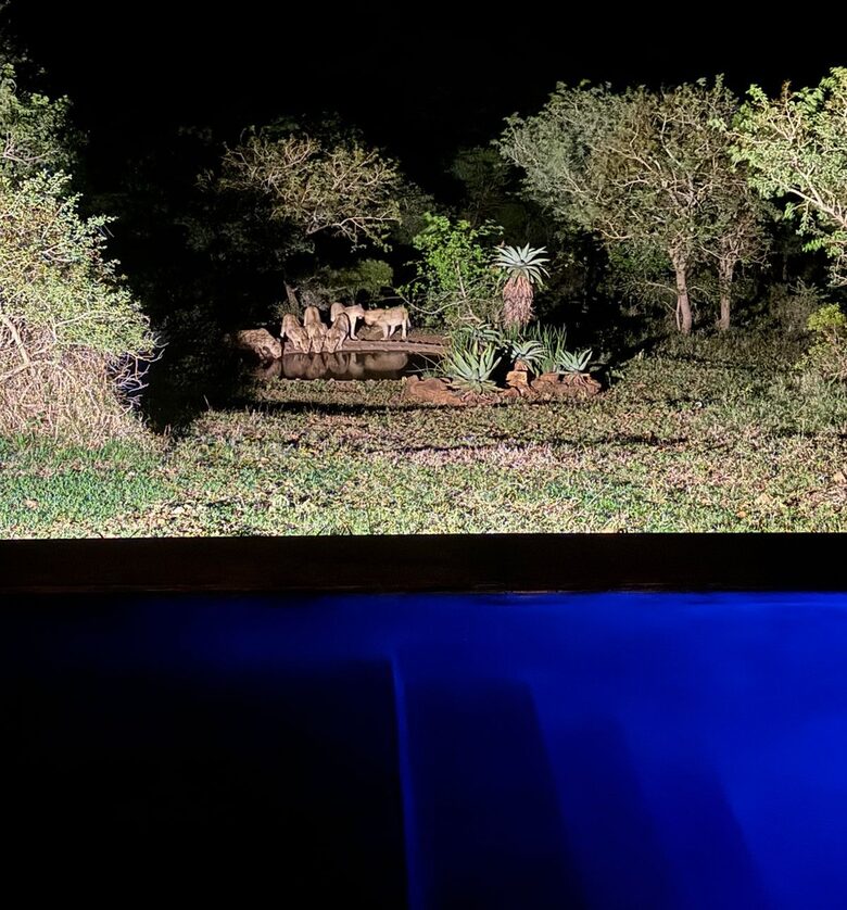 Private Safari Sanctuary in Zululand - Mkuze, South Africa