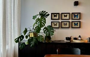 Reykjavík Artist House - Reykjavík, Iceland