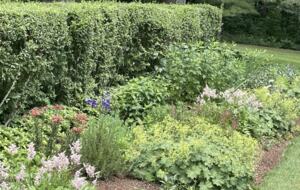 Four-Acre Berkshire Country Retreat - Stockbridge, Massachusetts