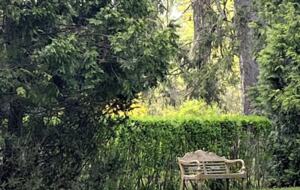 Four-Acre Berkshire Country Retreat - Stockbridge, Massachusetts