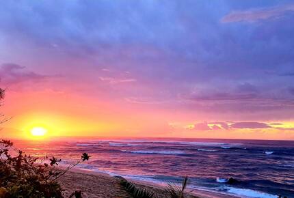 Laniakea Turtle Beach Retreat - Haleiwa, Hawaii