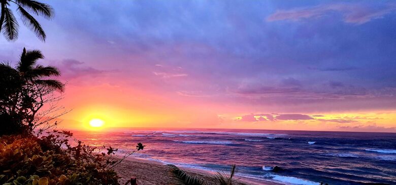 Laniakea Turtle Beach Retreat - Haleiwa, Hawaii