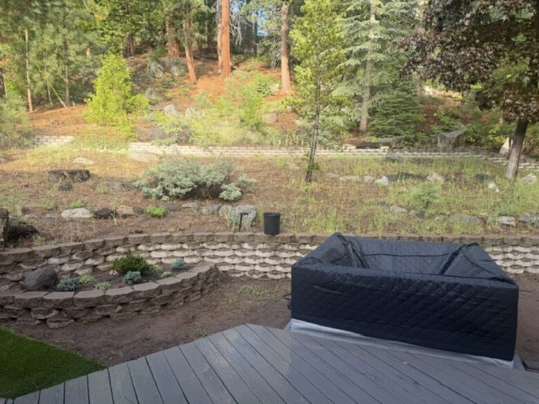 Backyard and Spa