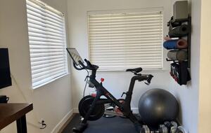 Pelton Bike and Workout Area in gameroom