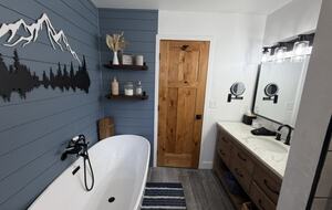 Master Bath Tub and Shower