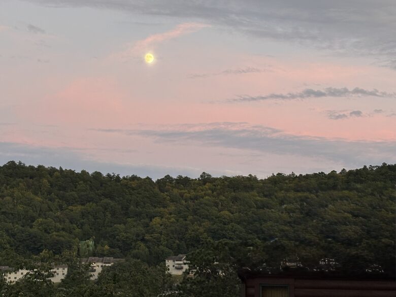Elevated Views | Refined Massanutten Mountain Retreat - McGaheysville, Virginia