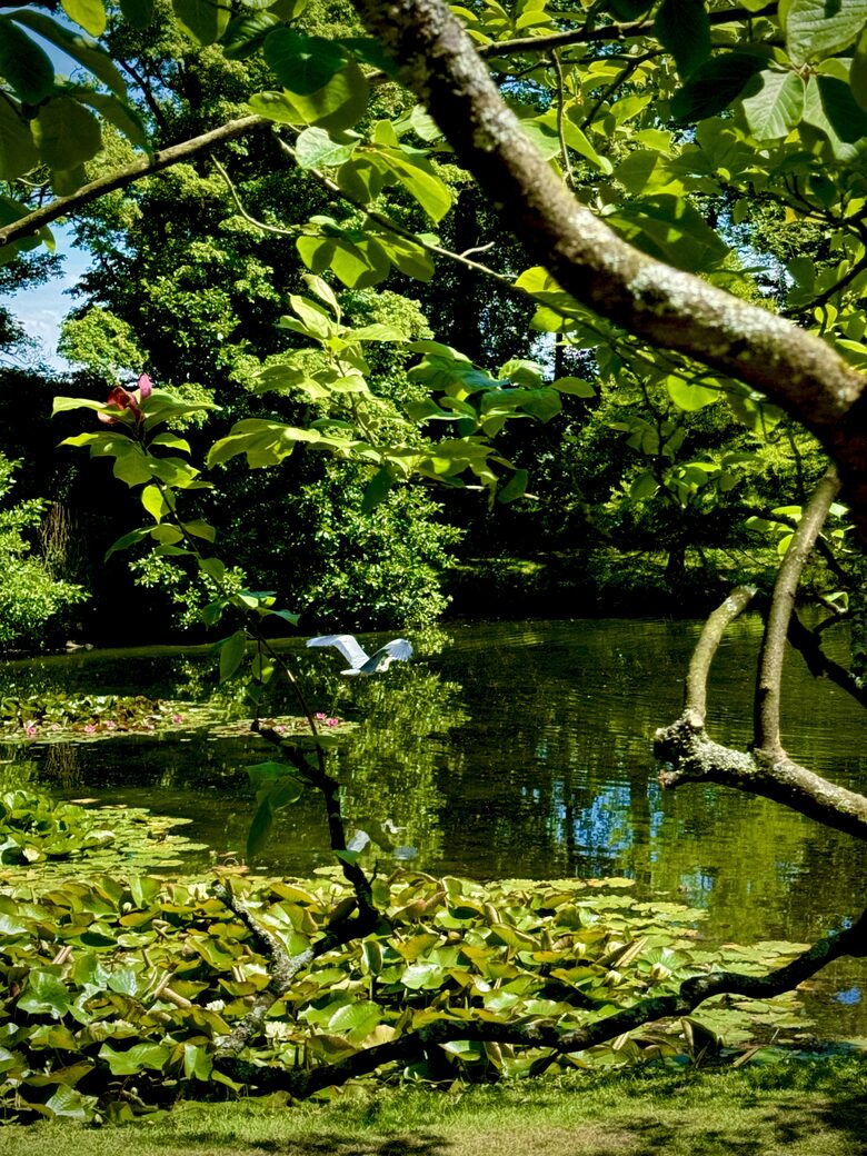 Historic English Estate with Private Grounds - Ormskirk, United Kingdom