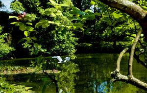 Historic English Estate with Private Grounds - Ormskirk, United Kingdom