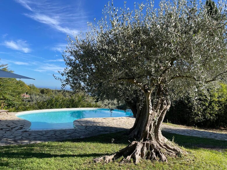 Refined Living with Riviera Views - Saint-Cézaire-sur-Siagne, France