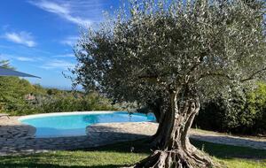 Refined Living with Riviera Views - Saint-Cézaire-sur-Siagne, France