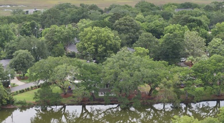 Waterfront Lowcountry Retreat Beneath Historic Live Oaks - Charleston, South Carolina