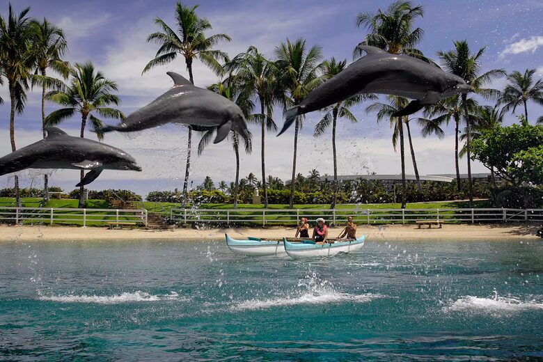 Hilton Club Ocean Tower Waikoloa Village - Waikoloa, Hawaii