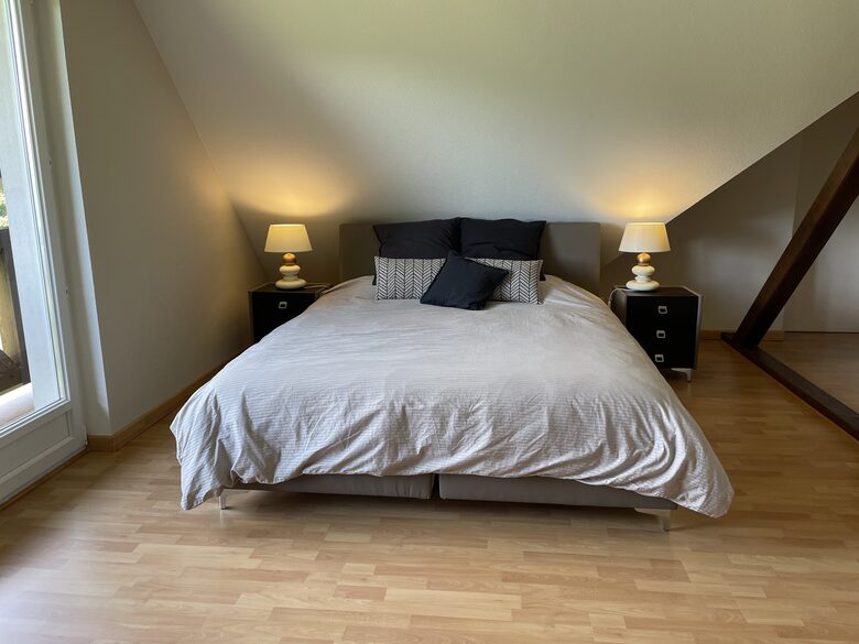 Vosges Estate with Private Tennis & 3-Hole-Golf - Le Saulcy, France