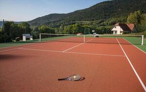 Tenuta nei Vosgi con campo da tennis privato e campo da golf a 3 buche - Le Saulcy, Francia