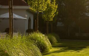 The Botanical Estate at the Three Borders - Brunstatt, France