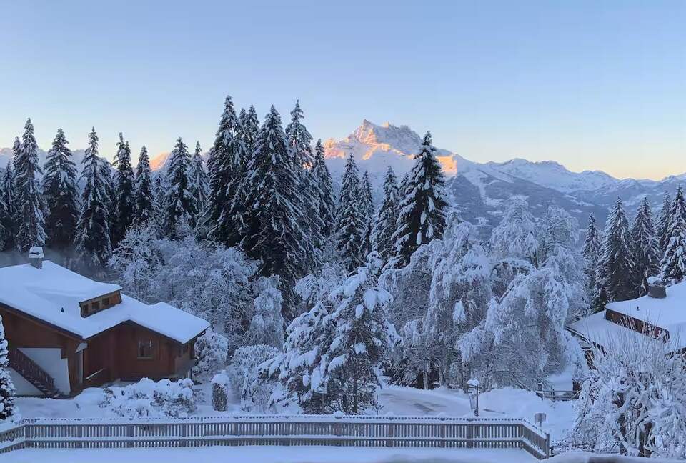 The Chalet Inspired Duplex with Designer Finishes - Villars sur Ollon, Switzerland