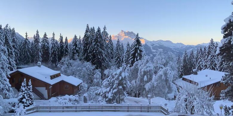 The Chalet Inspired Duplex with Designer Finishes - Villars sur Ollon, Switzerland