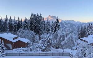 The Chalet Inspired Duplex with Designer Finishes - Villars sur Ollon, Switzerland