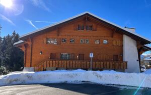 The Chalet Inspired Duplex with Designer Finishes - Villars sur Ollon, Switzerland