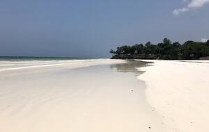 House of Eden| Refined Coastal Elegance in Diani Beach - Diani, Kenya