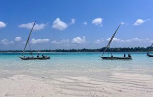 House of Eden| Refined Coastal Elegance in Diani Beach - Diani, Kenya
