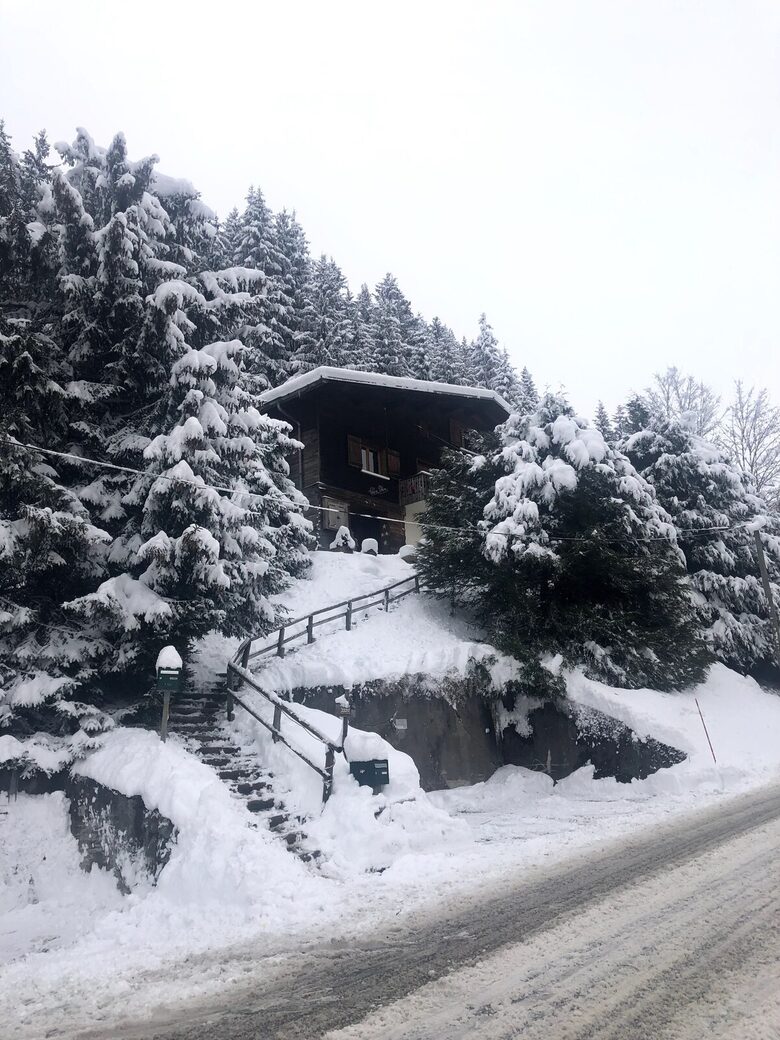 Alpine Chalet Near the Slopes of La Clusaz - La Clusaz, France