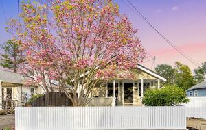 Heart of Old Town Cottage - Yountville, California