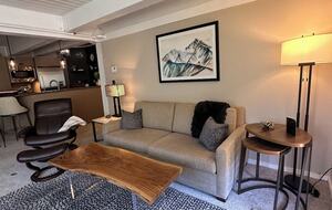 Gondola-Ski in and Ski Out Mountain Retreat in Snowmass - Snowmass Village, Colorado