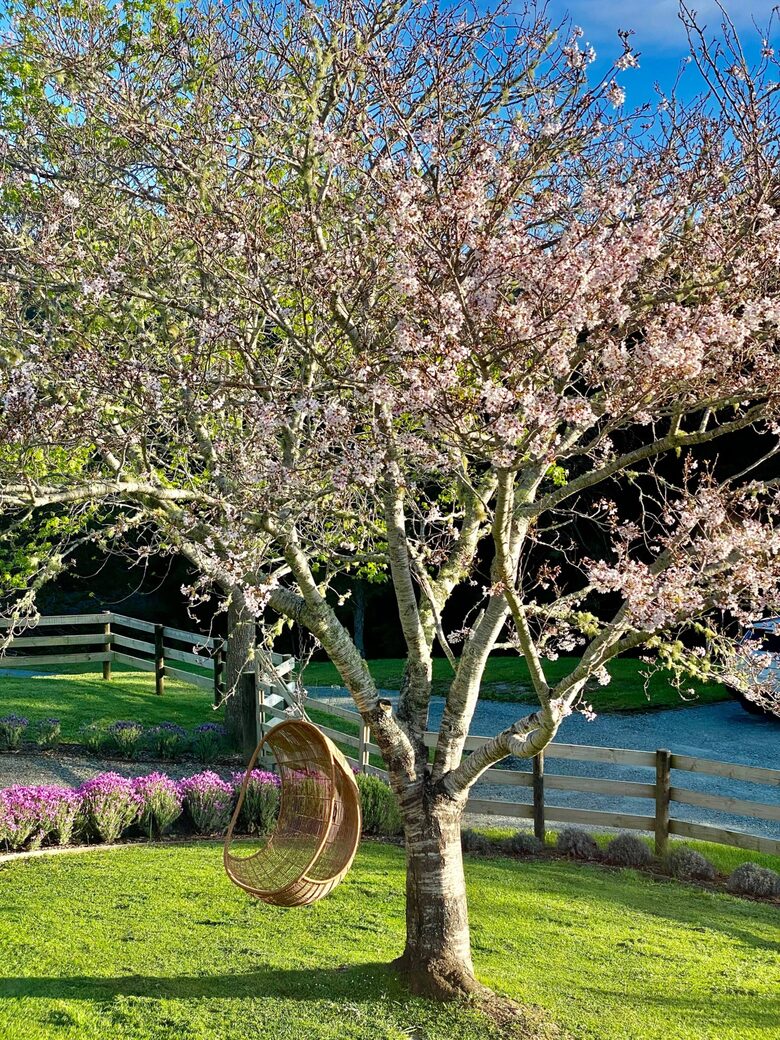 Private Leigh Escape with Outdoor Living & Nature Views - Leigh, New Zealand