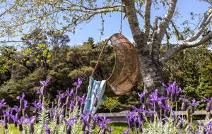 Private Leigh Escape with Outdoor Living & Nature Views - Leigh, New Zealand