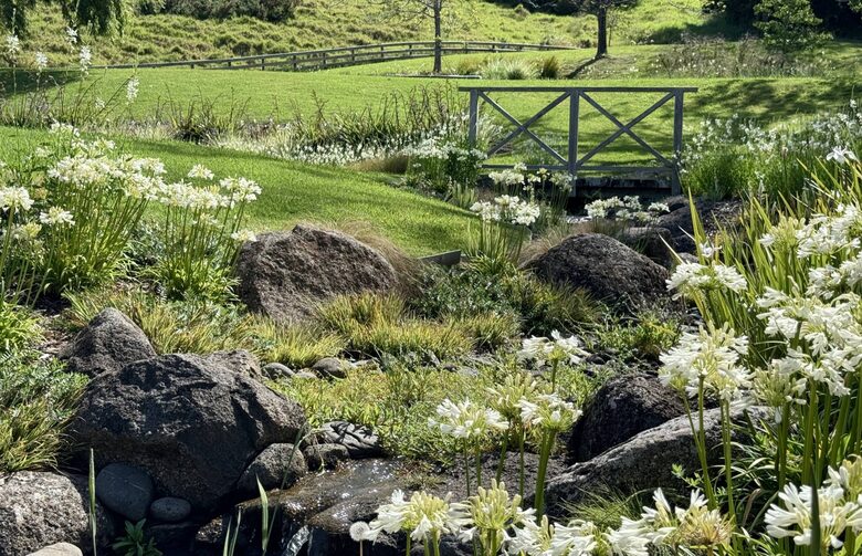 Private Leigh Escape with Outdoor Living & Nature Views - Leigh, New Zealand