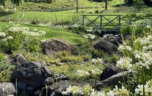 Private Leigh Escape with Outdoor Living & Nature Views - Leigh, New Zealand