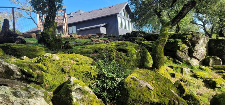 Sonoma Retreat with Infinity Pool & Oak Tree Views - Santa Rosa, California