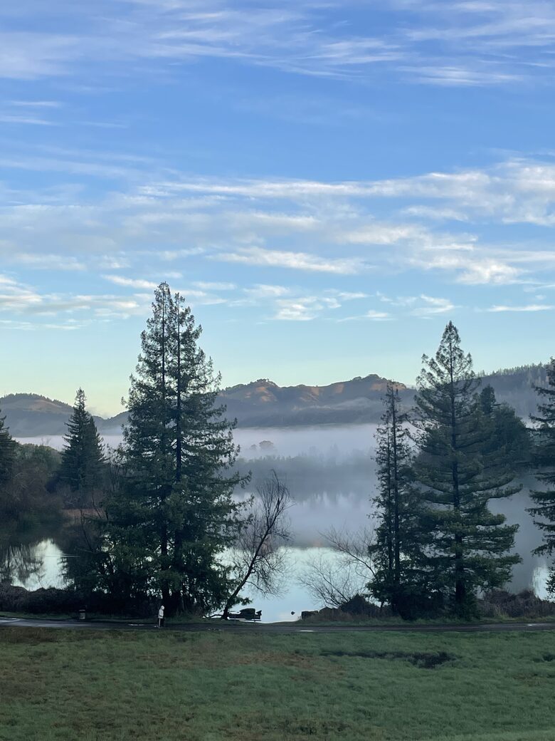 Sonoma Retreat with Infinity Pool & Oak Tree Views - Santa Rosa, California