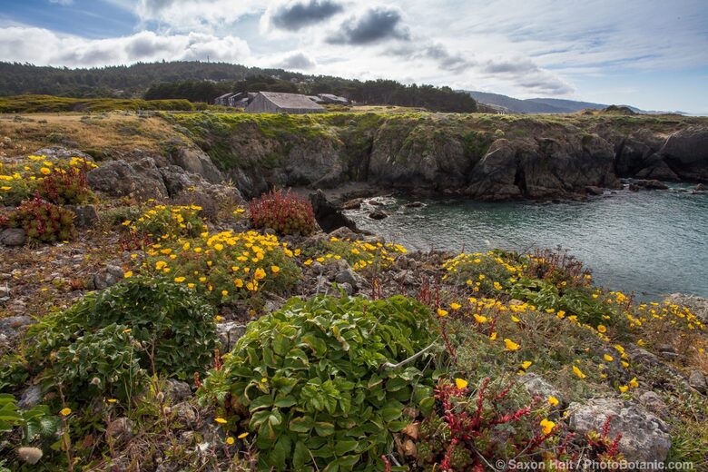 The View House at Sea Ranch - The Sea Ranch, California