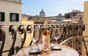 Panoramic Rooftop Residence - Rome, Italy